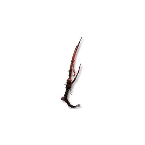 Buy Sanguine Diviner for Path of Exile