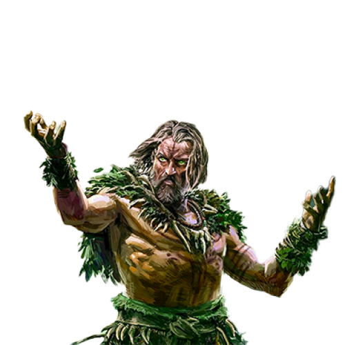 Buy Druid leveling pack for Path of Exile