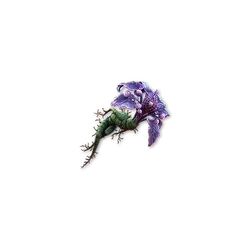 Buy Amor Mandragora for PoE2