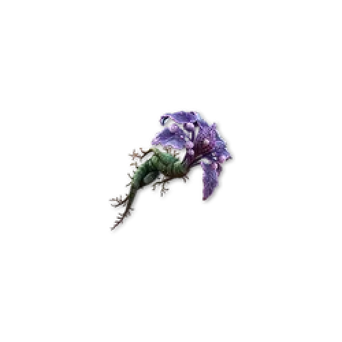 Buy Amor Mandragora for PoE2