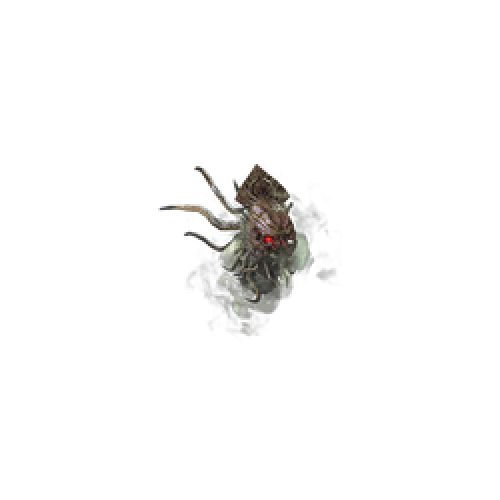Buy Ancient Skull for PoE