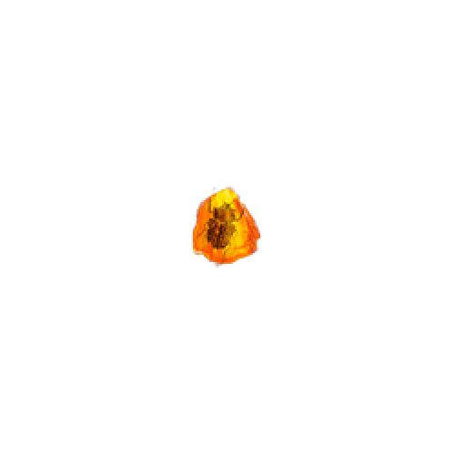 Buy Fundamental Fossil for PoE