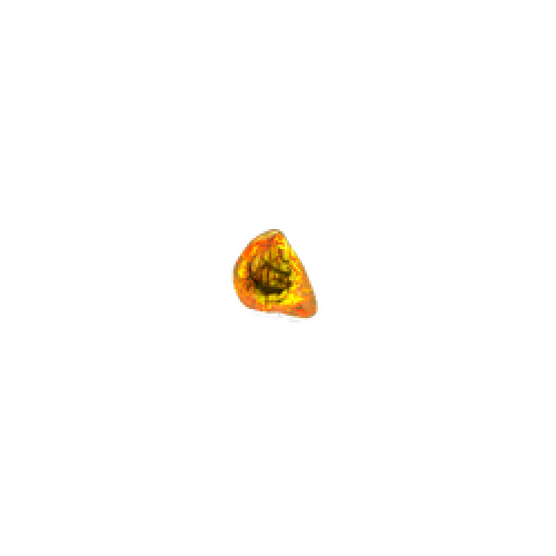 Buy Glyphic Fossil for PoE