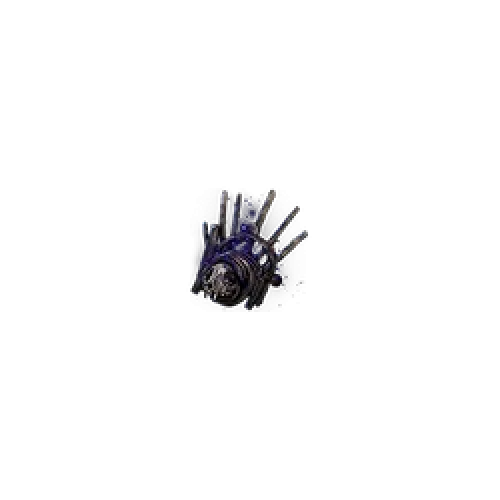 Buy Omen of Secret Compartments for PoE2