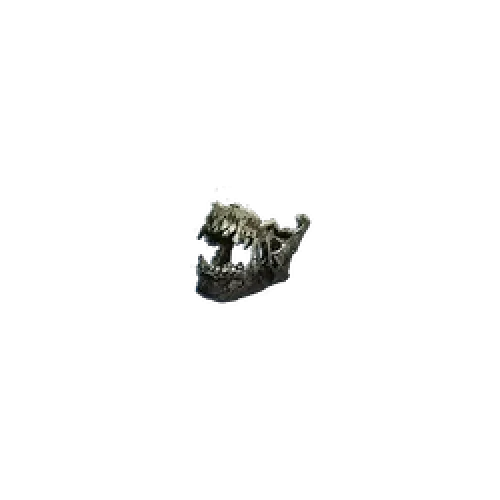 Buy Preserved Jawbone for PoE2