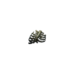 Buy Preserved Rib for PoE2